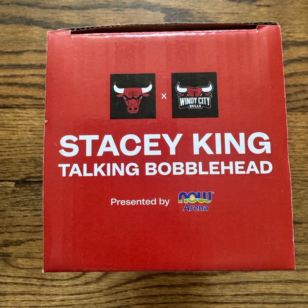 Stacey King Talking Bobblehead – Windy City Bulls / Chicago Bulls – NEW in Box - Picture 2 of 6